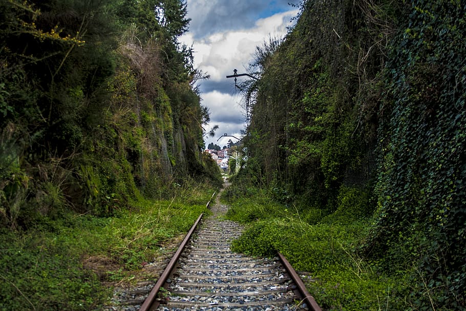 train tracks, invaded, railway, rails, galicia, plant, tree HD wallpaper