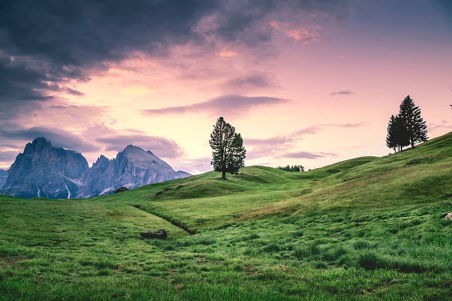 green, grass, mountain, highland, tree, plant, outdoor, sky HD wallpaper