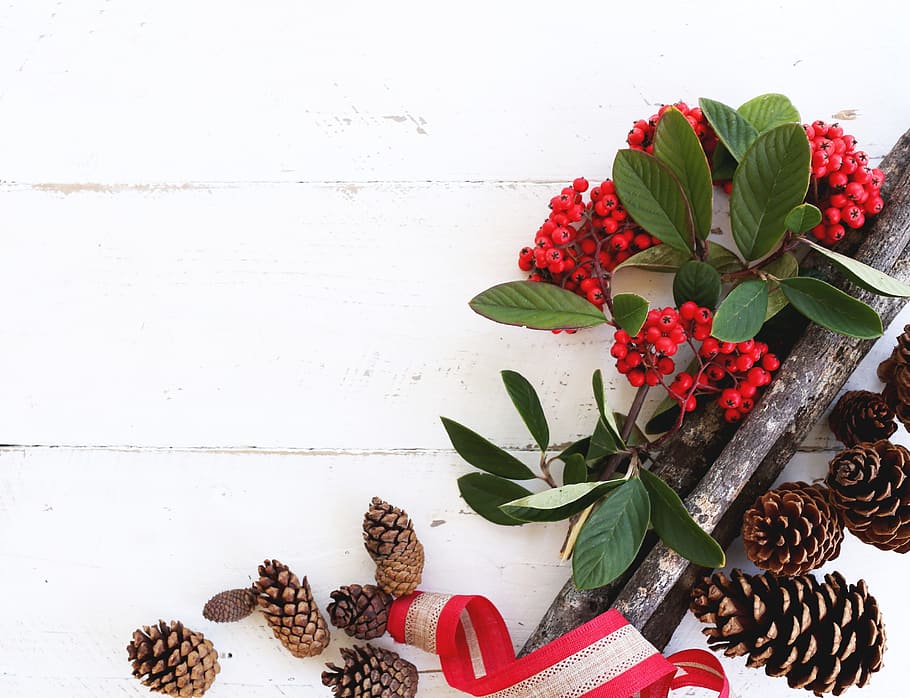 Brown Pine Cones, berries, decoration, desk, flatlay, holly berries HD wallpaper
