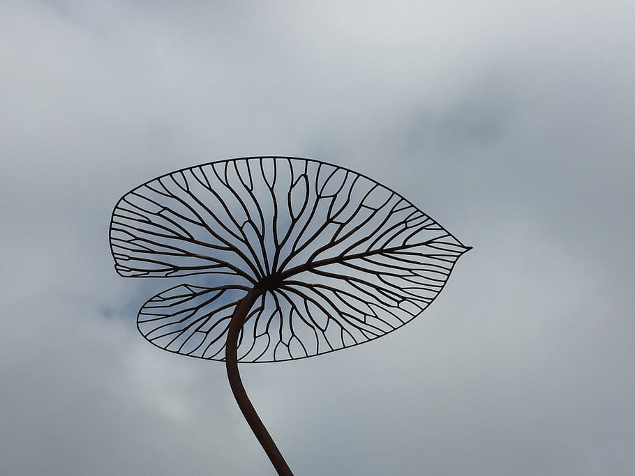 art, leaf, sky, statue, no people, low angle view, cloud - sky HD wallpaper
