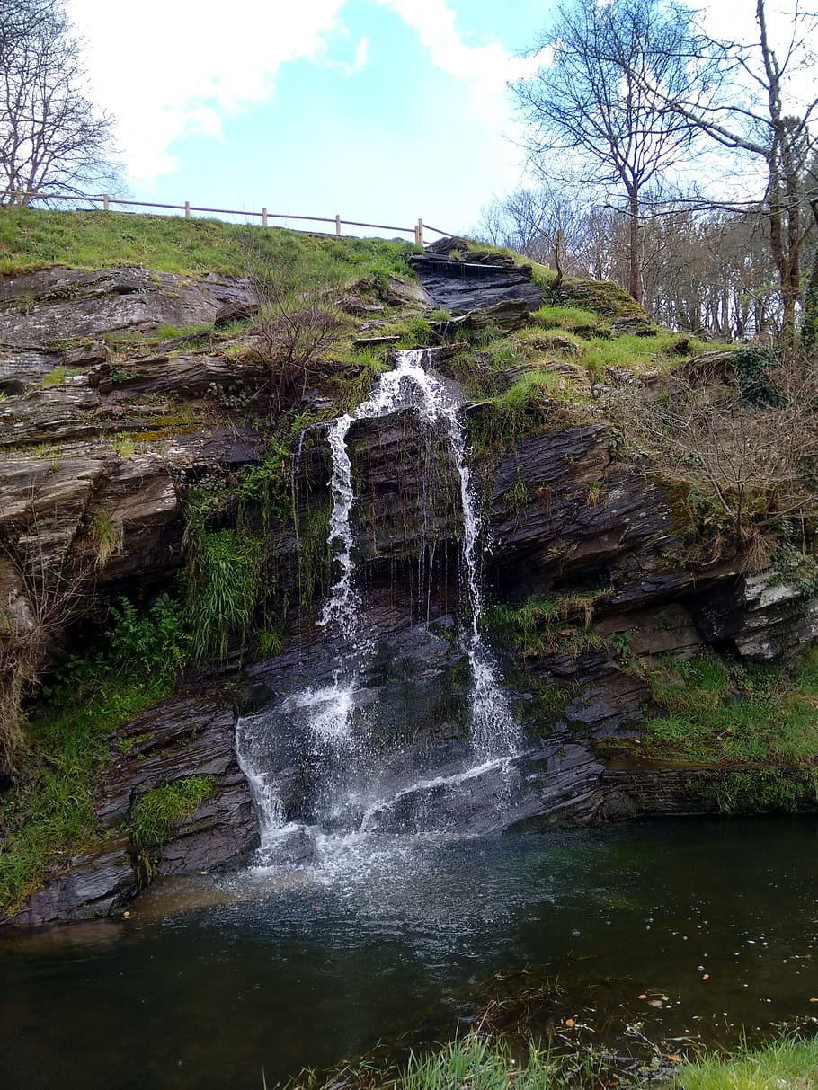 waterfall, river, nature, plant, tree, beauty in nature, motion HD wallpaper