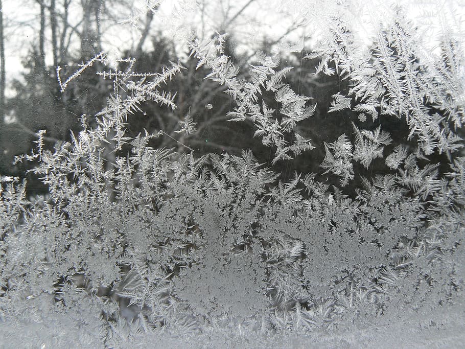 frost, winter, cold, ice, ice formations, gel, cold temperature HD wallpaper