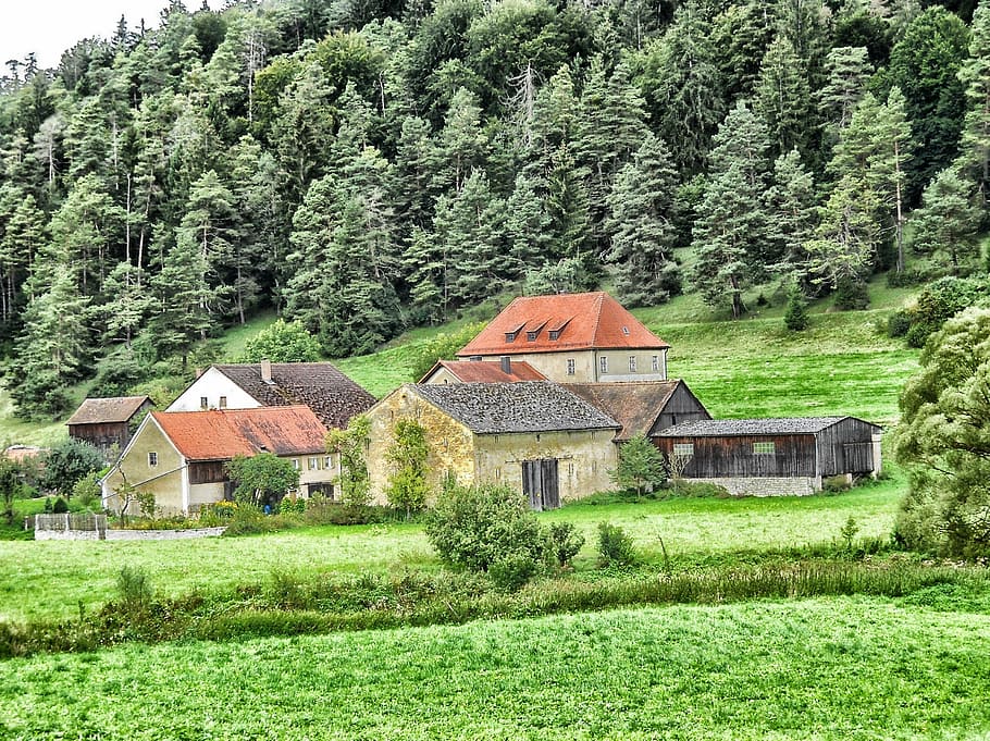 houses below hill and forest during daytime, germany, landscape, HD wallpaper