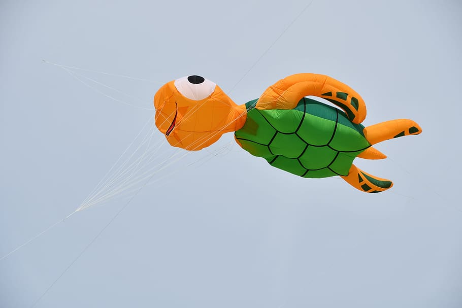 contest, kites, animal representation, toy, orange color, no people HD wallpaper