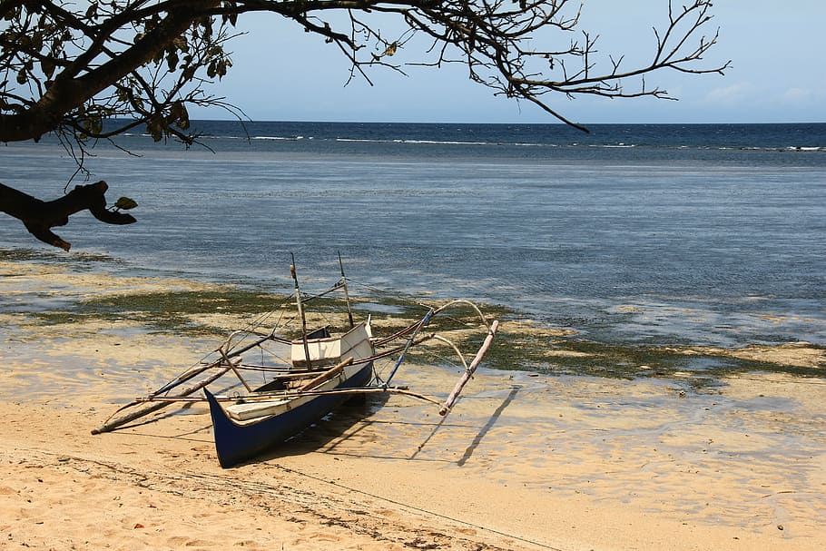 beach, nature, the landscape, view, indonesian, water, tree HD wallpaper