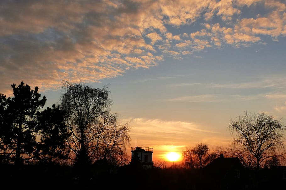 evening sky, sunset, clouds, atmospheric, tree, cloud - sky HD wallpaper