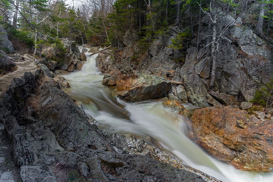 water, nature, stream, waterfall, river, tree, beauty in nature HD wallpaper