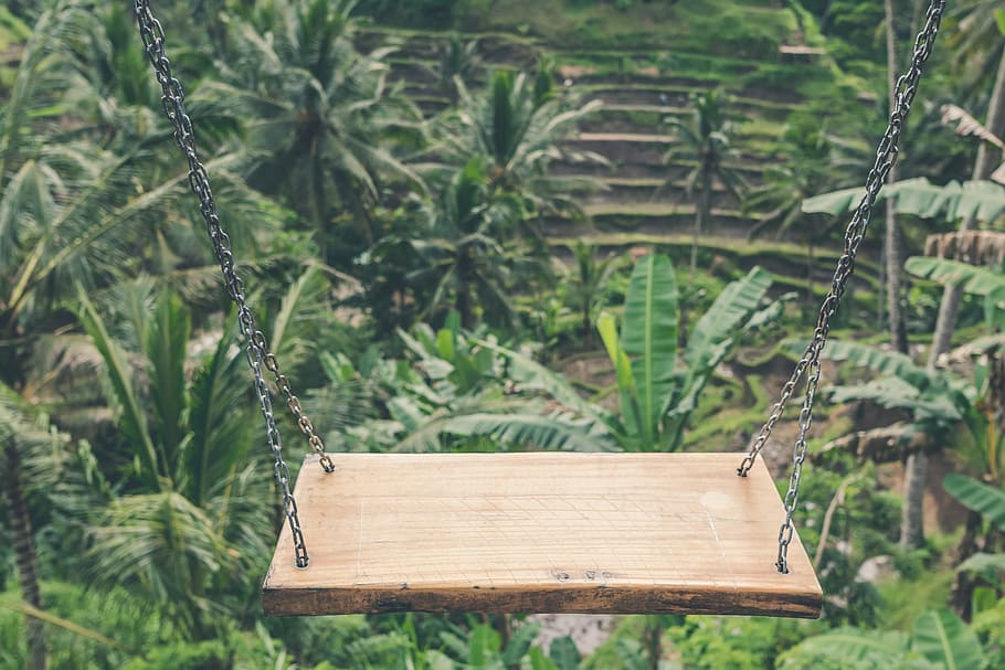 Swing in the jungle rainforest of tropical island, photo of outdoor swing in front of banana and coconut trees HD wallpaper