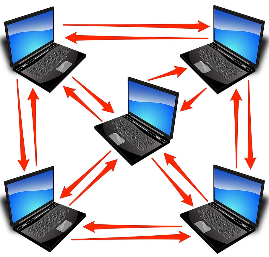portable, notebook, connections, technology, computer, communication HD wallpaper