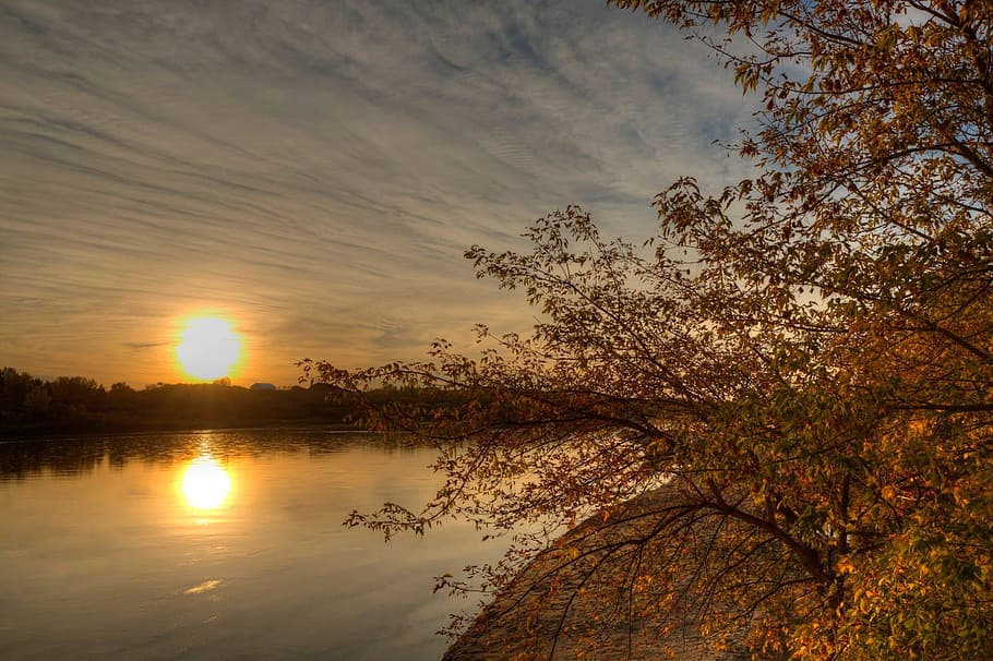 sunrise, river, sky, nature, tree, landscape, water, beauty in nature HD wallpaper