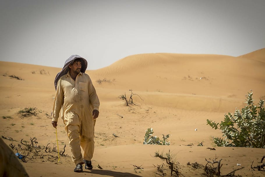 man walking on desert, emirates, nero, bedouin, camel, hot, dromedary, HD wallpaper