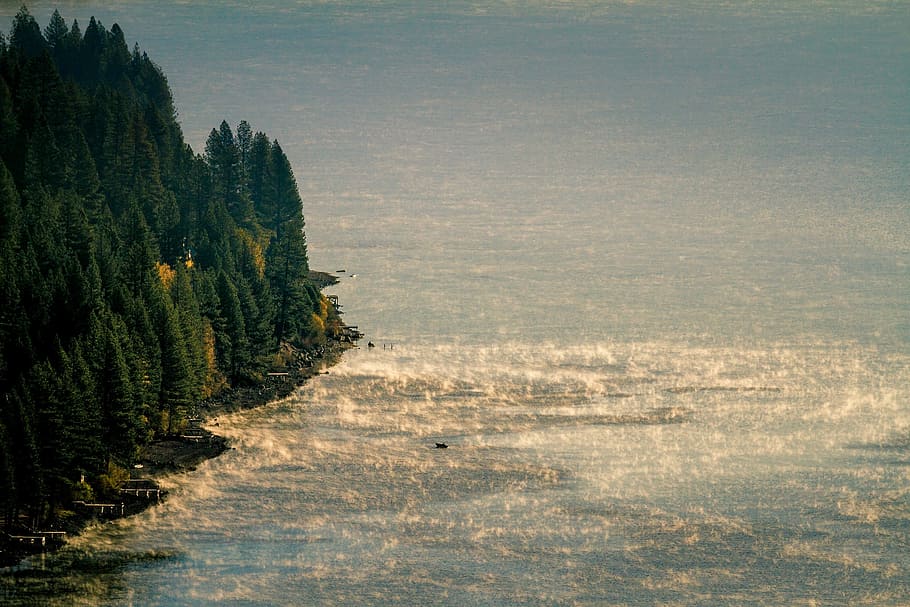 green trees beside sea shore, nature, water, scenics, landscape HD wallpaper