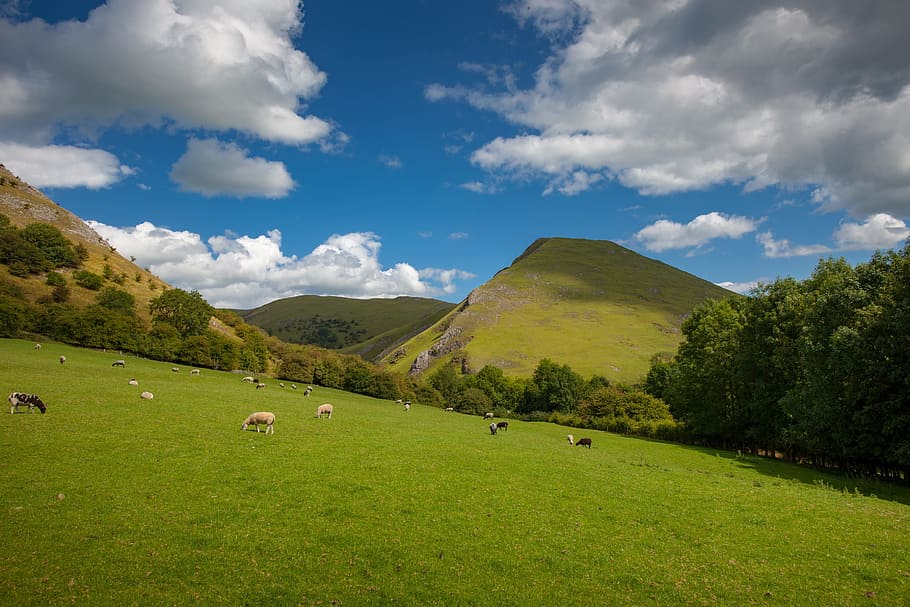 thorpe cloud, dovedale, nature, panoramic, landscape, grass HD wallpaper