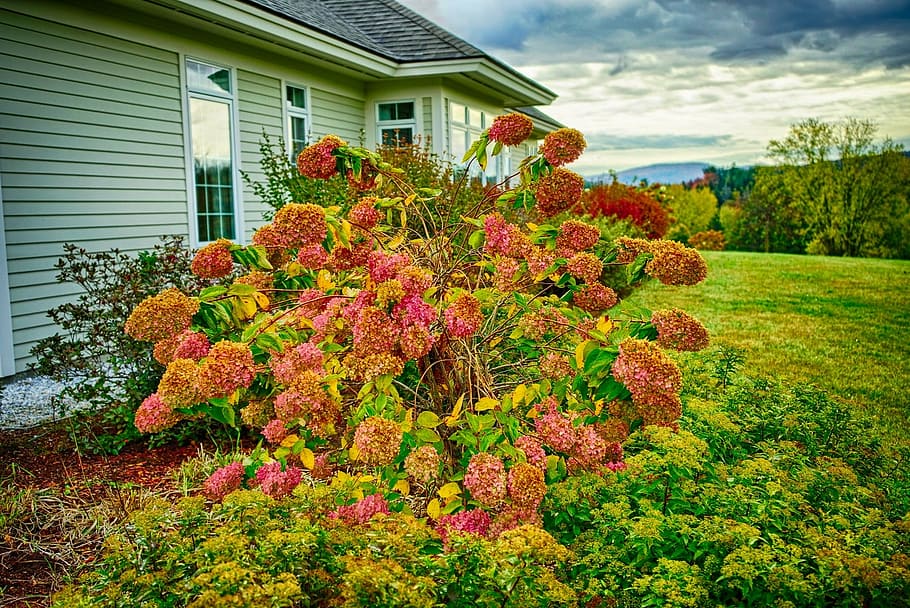 fall, foliage, mountains, sky, clouds, autumn, nature, landscape HD wallpaper
