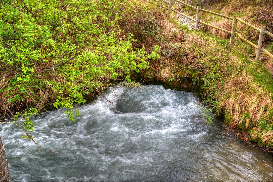 vozmediano, moncayo, the source, spring, river queiles, plant HD wallpaper