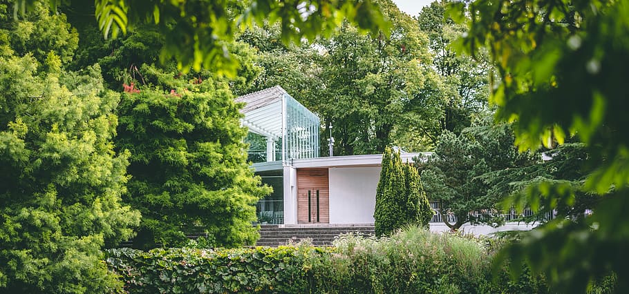 aerial photography of house surrounded by trees at daytime, white concrete house surrounded by green trees HD wallpaper