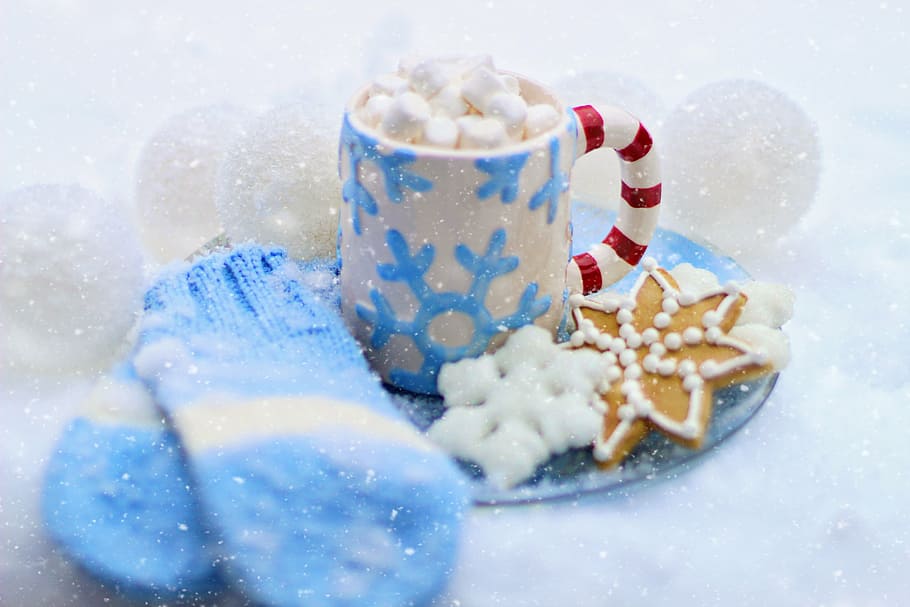 white, blue, and red ceramic mug, hot chocolate, cocoa, cookie