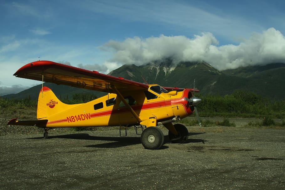 propeller, plane, airplane, aircraft, transport, flight, transportation HD wallpaper