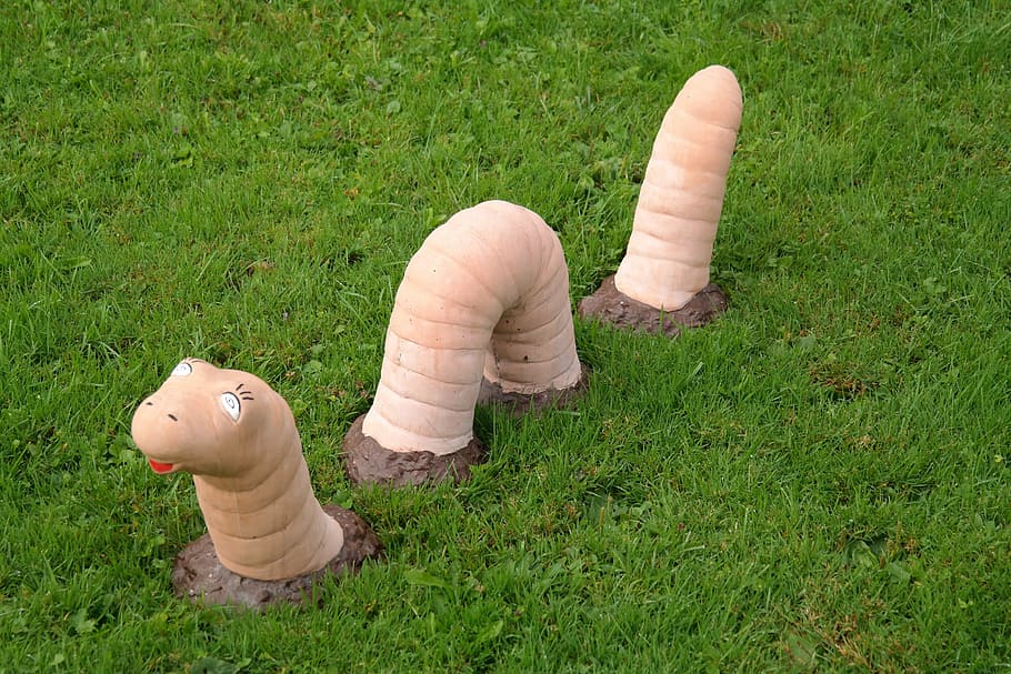 earthworm, snake, large, meadow, animal, sculpture, grass, representation HD wallpaper