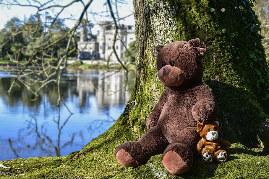 brown bear plush toy beside tree, teddy, soft toy, cute, happy, HD wallpaper