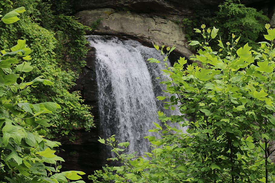 Waterfall, Nature, Green, river, stream, forest, scenics, landscape HD wallpaper