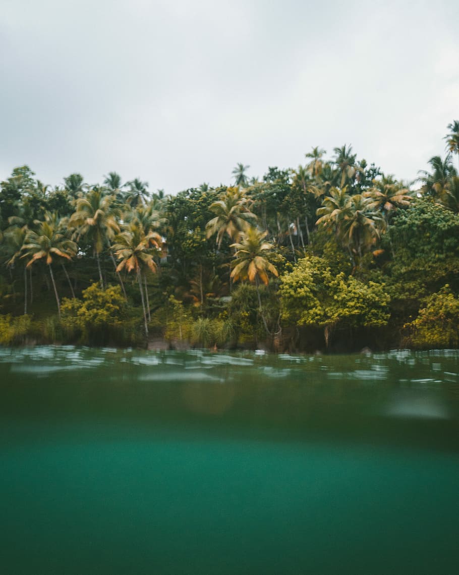 aerial photography of island, coconut trees near river under white clouds nature photography HD wallpaper