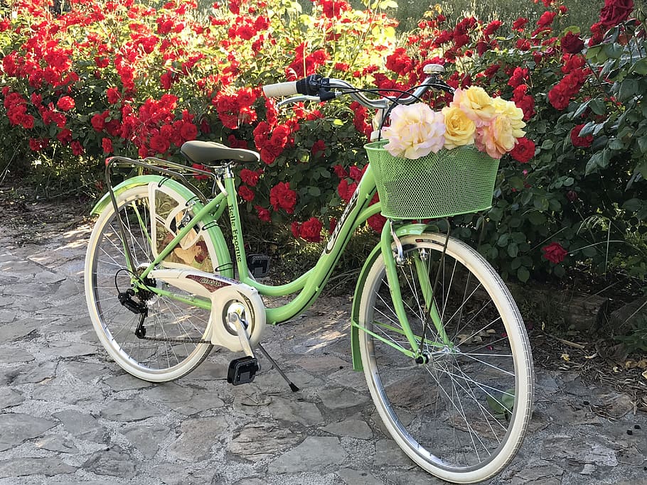 bicycle, flowers, sport, spring, cyclist, wheels, bike, vintage, HD wallpaper