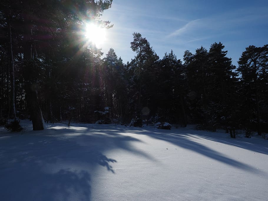 snow landscape, winter, sun, shadow, cold, snowfield, shadow play HD wallpaper