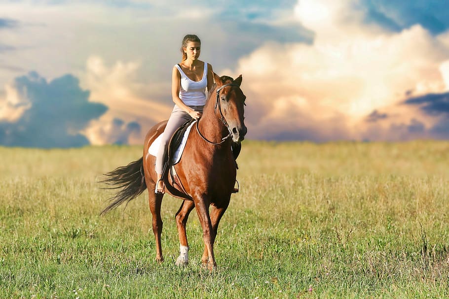 woman riding horse on green grass field during daytime, animals