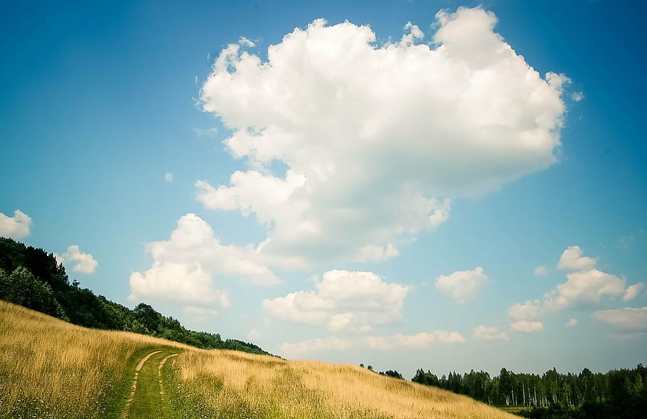 grass field with white clouds on sky, walking, hills, erosion HD wallpaper