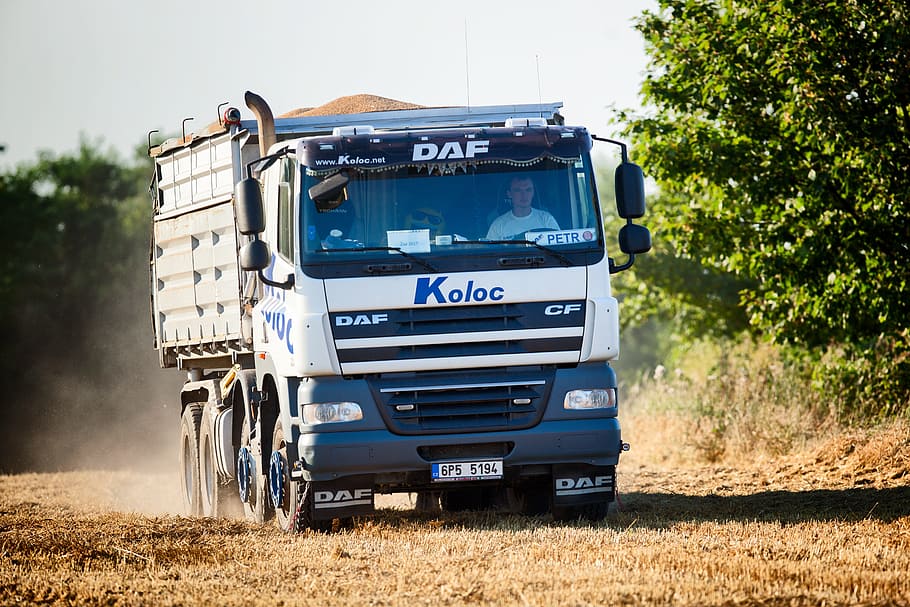 man driving cargo truck near tree during day, lorry, field HD wallpaper