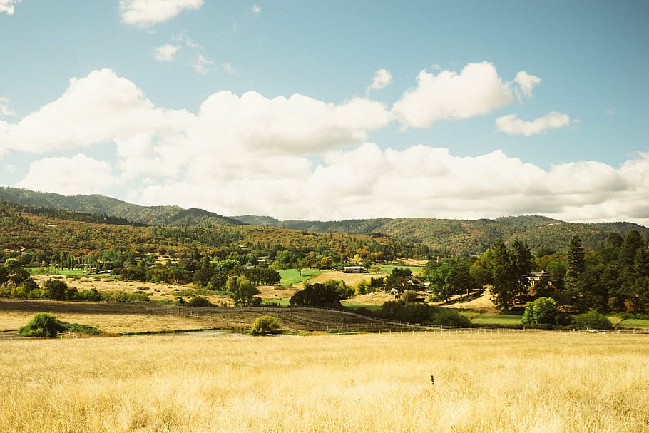 field, landscape, nature, rural Scene, agriculture, hill, farm HD wallpaper
