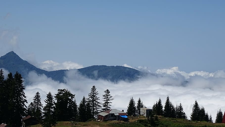 fog, cottage, landscape, forest, mountains, countryside, village HD wallpaper