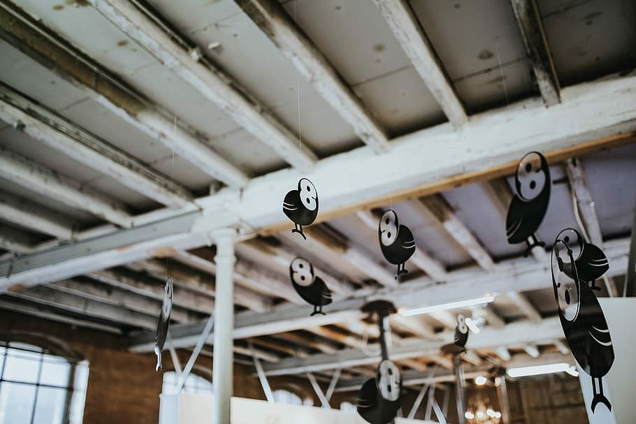 Little black plastic owls hanging from a ceiling, birds, roof HD wallpaper