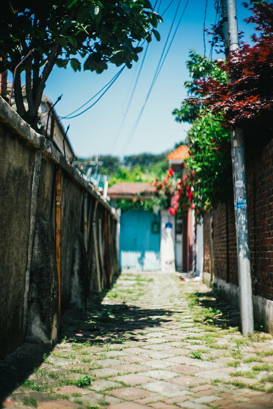 side streets, gunsan, gil, architecture, built structure, plant HD wallpaper