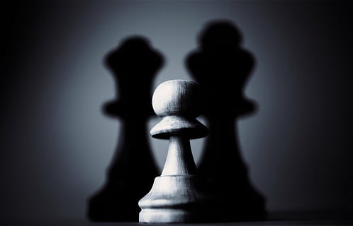 chess piece, game, black, white, queen, contrast, sport, shadow HD wallpaper