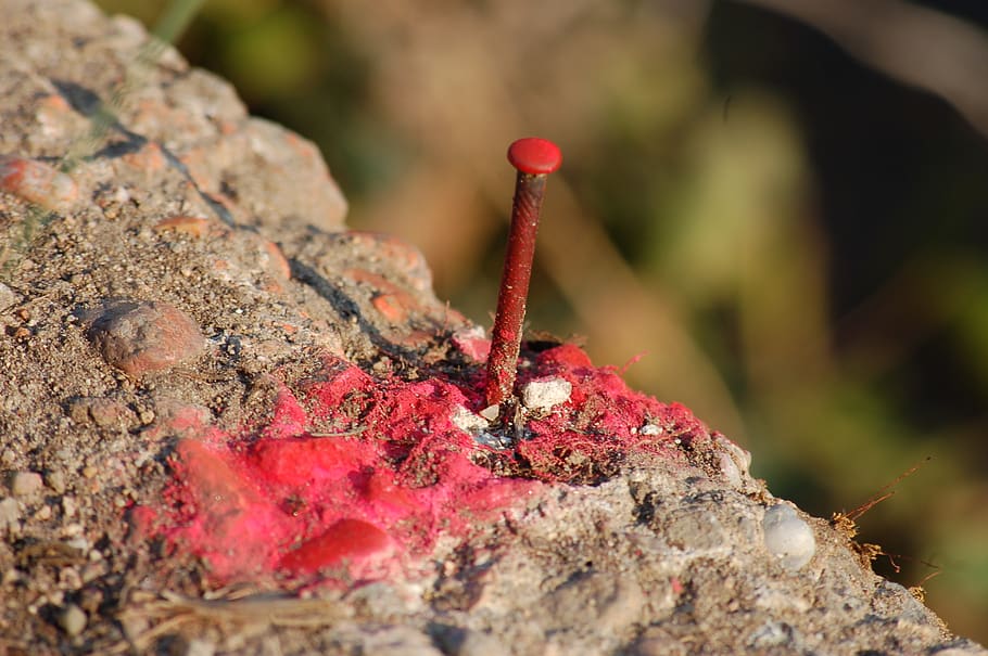 nail, rust, red, rusty, nails, close-up, solid, no people, focus on foreground HD wallpaper