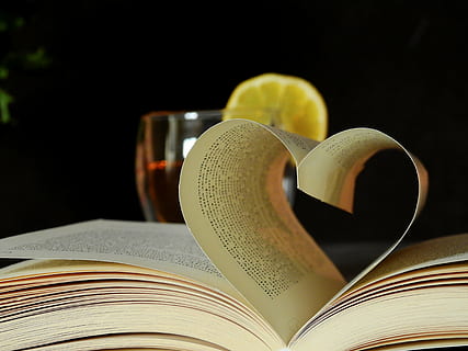 book, read, literature, learn, text, font, page, tee, glass HD wallpaper