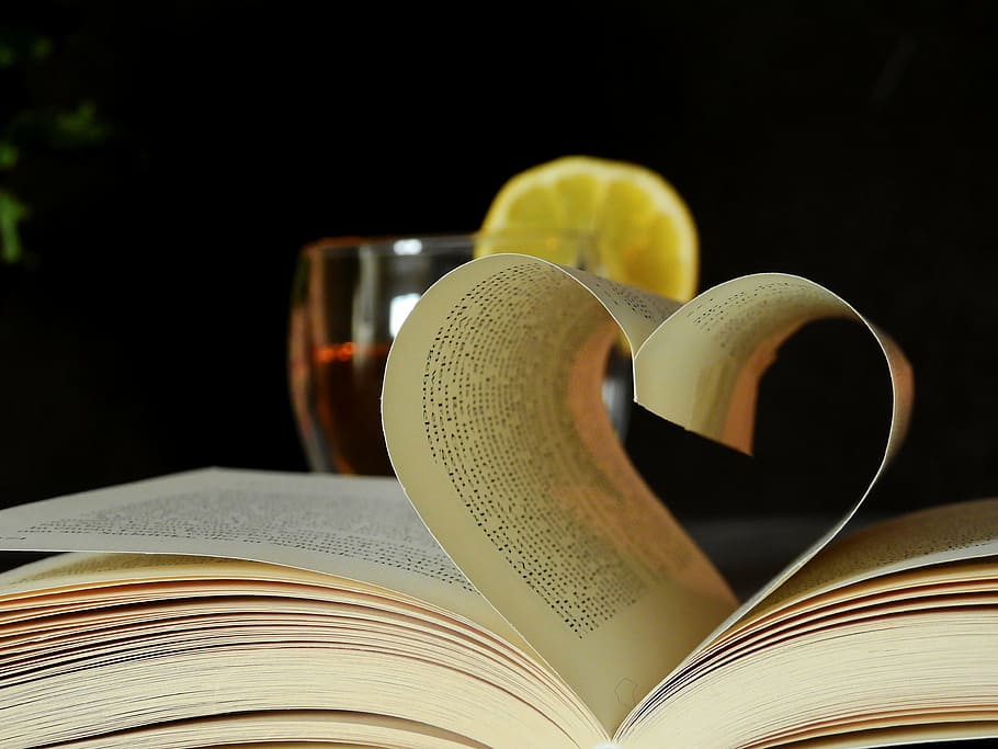 book, read, literature, learn, text, font, page, tee, glass HD wallpaper
