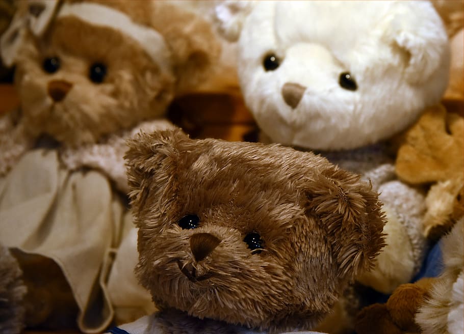 brown teddy bear near white teddy bear beside other brown teddy bear HD wallpaper