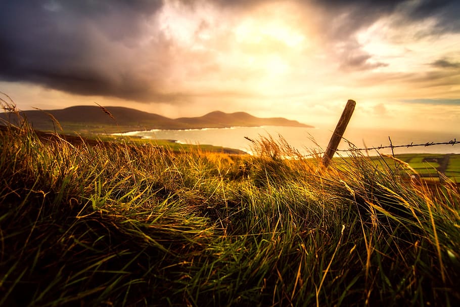 grass field, sea, ocean, sky, clouds, sunrise, sunset, mountains HD wallpaper
