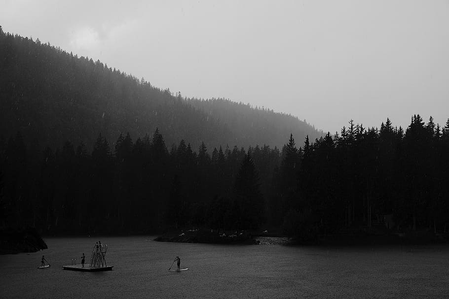 landscape photography of forest and river, photo of person using paddle board on body of water in forest HD wallpaper