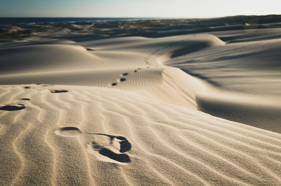 footsteps on sand during daytime, footprints on the sand, dunes, HD wallpaper
