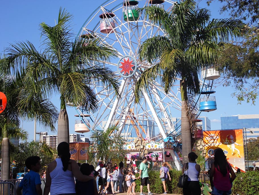 amusement park, joy, fun, tree, group of people, plant, real people HD wallpaper
