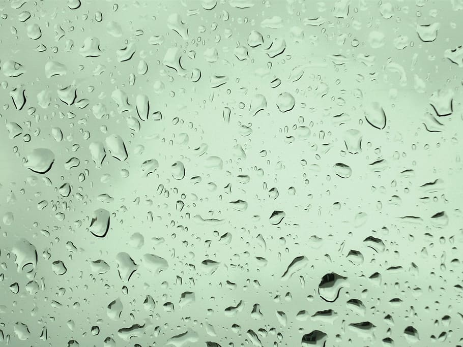 texture, rain, water, raindrop, drip, wet, full frame, backgrounds HD wallpaper