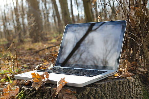 unfold silver laptop with black screen on log, Laptop, Computer HD wallpaper