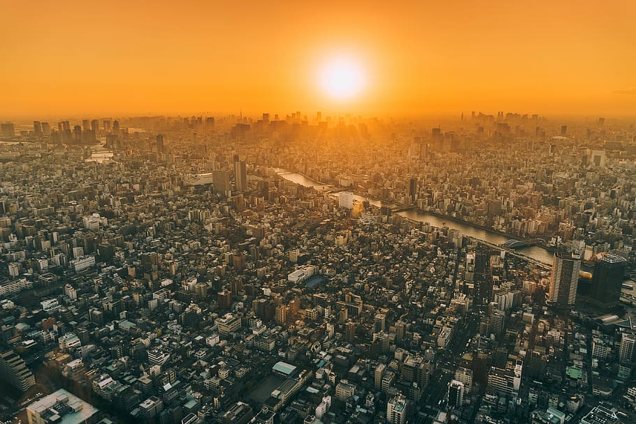 bird's-eye view photography of city, high, angle, escape, golden HD wallpaper
