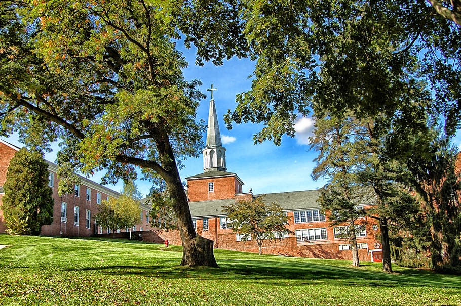 green leafed tree on grass, hamilton, massachusetts, gordon conway seminary, HD wallpaper