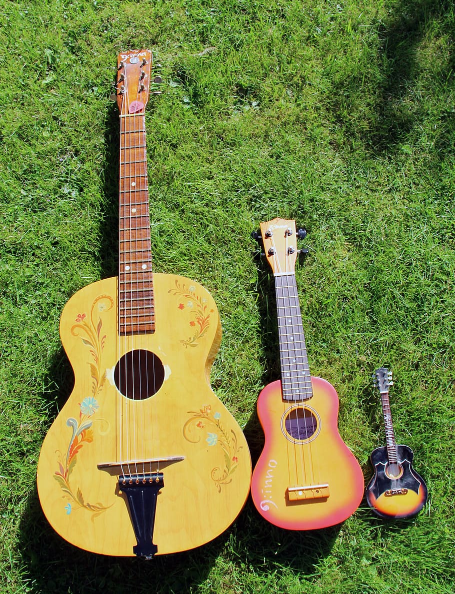 gitarer, stor, større, størst, music, musical instrument HD wallpaper