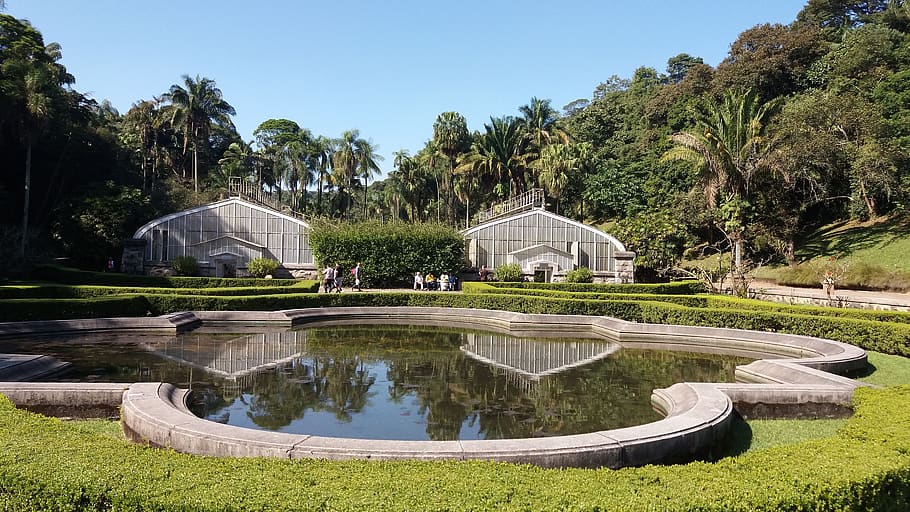 garden, botanical, flora, plant, tree, water, nature, sky, architecture HD wallpaper